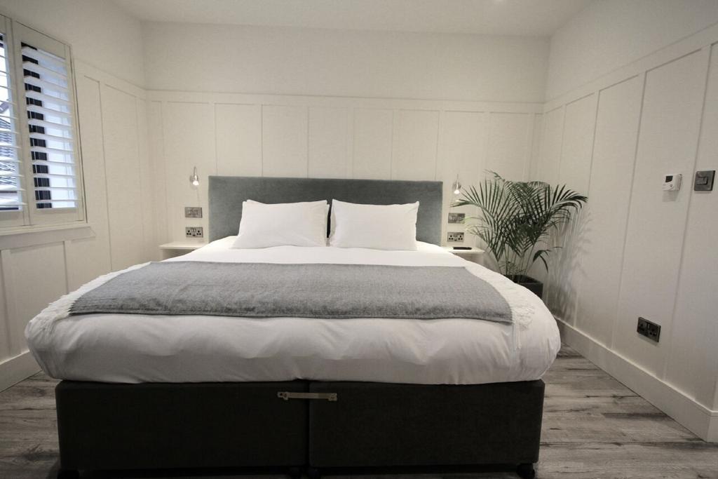 Quinlan & Cooke Boutique Townhouse And Qcs Seafood Restaurant Hotel Cahersiveen Luaran gambar